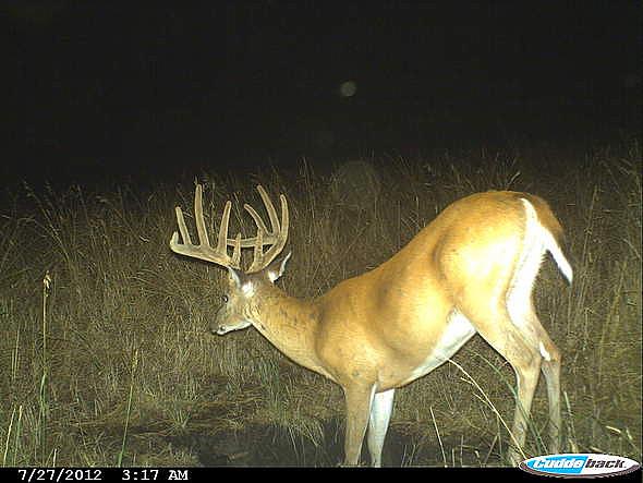 CDY 0518
