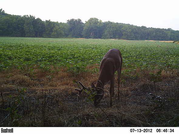 PICT0075