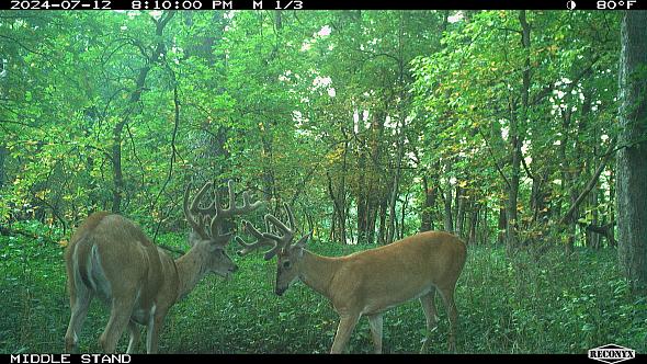 0a59835c-5ef3-4cb2-bf15-fca8586d80c1