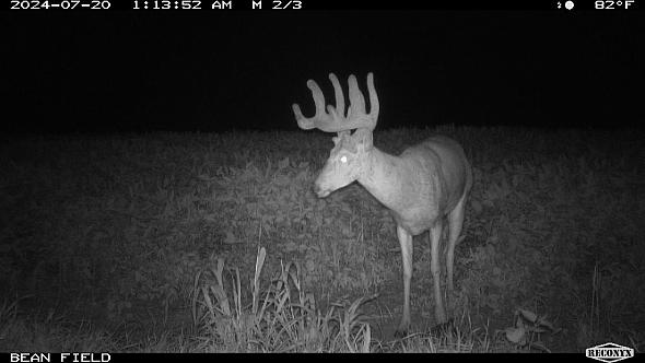 0e0c0a81-86c2-496f-94ad-6747d9930ffe