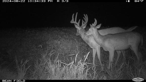 0e612813-53a1-4e7b-b9ba-db95a3cc67f8