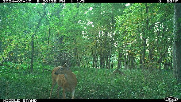 0fdb20eb-8305-4f9d-8b39-bc846e65700c