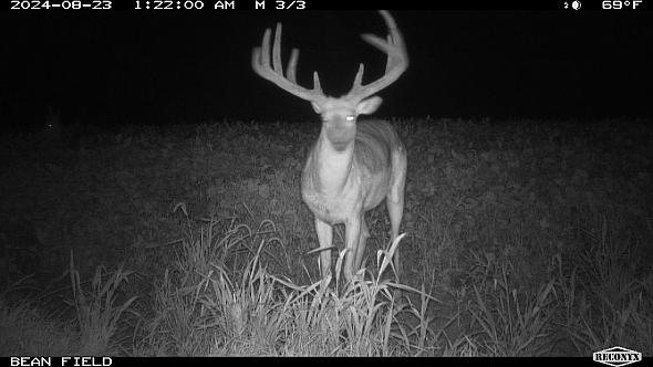 322a936a-59ff-497d-a50f-04fe26b0b9a9