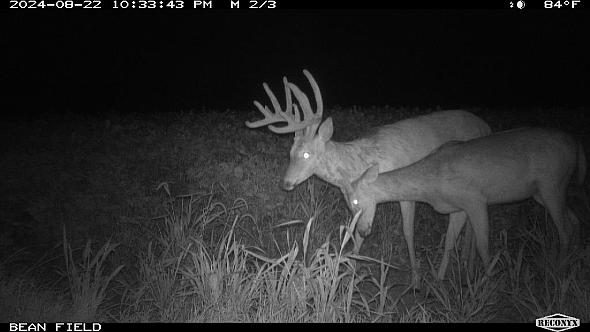 58bcbe4b-4d2e-4d97-8355-a7d0b9101e09