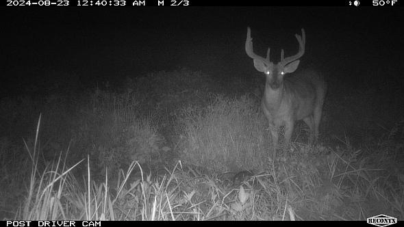 65dc8cd5-2991-4990-b08a-416fefe4d9b6