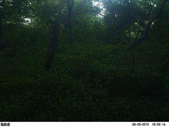 PICT0277