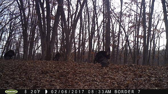 2017-02-06 PICT0521