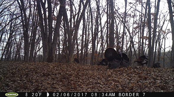 2017-02-06 PICT0524