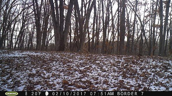 2017-02-10 PICT0530