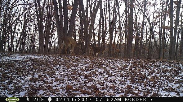 2017-02-10 PICT0532