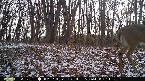 2017-02-10 PICT0534