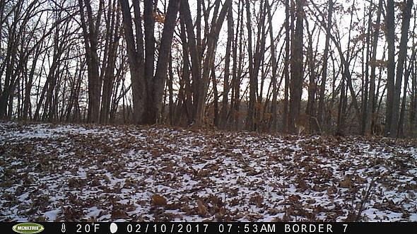 2017-02-10 PICT0535