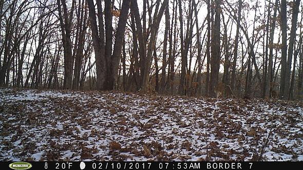 2017-02-10 PICT0536