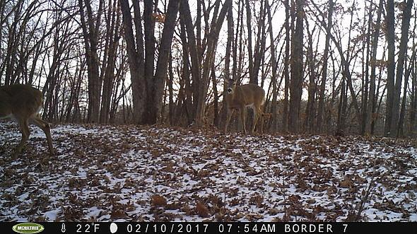 2017-02-10 PICT0539