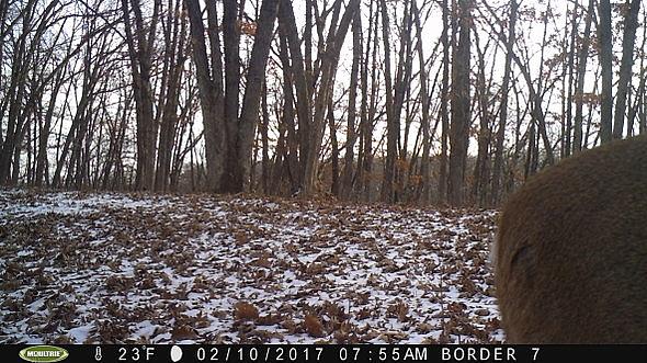 2017-02-10 PICT0542