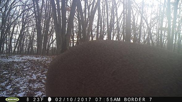 2017-02-10 PICT0543