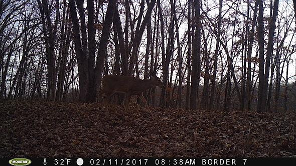2017-02-11 PICT0555