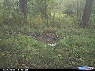 2006-09-25 CDY 0031