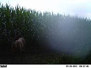 PICT0058