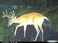 CDY 0201