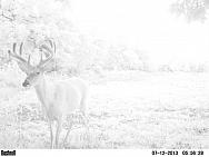 PICT0034