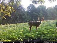 08200720