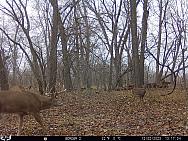 12020308