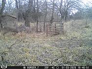 01030773
