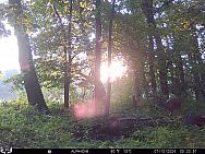 07100336