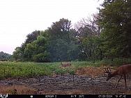 07250806