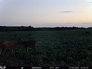 07300035