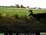 07300360