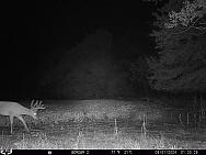 08010051