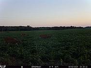 08020088