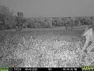 08020095
