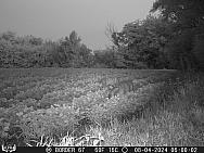 08040101