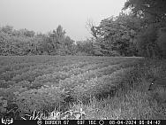 08040107