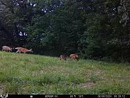 08060268