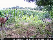 08060971