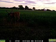 08070073