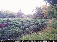 08070137