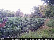 08070152