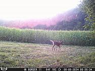 08080060