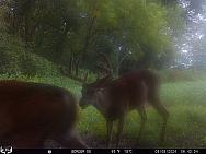 08080358