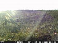 08090139