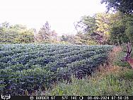 08090173