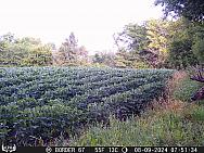 08090175