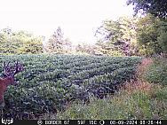 08090177