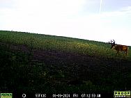 08090383