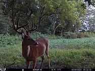08090502